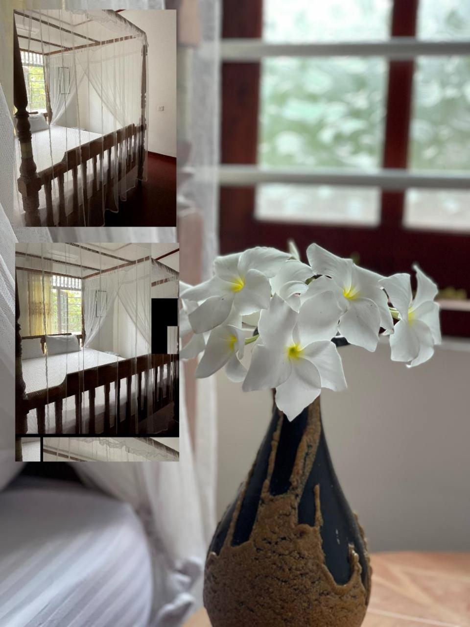 Wasana Ocean View Villa Mirissa Buitenkant foto