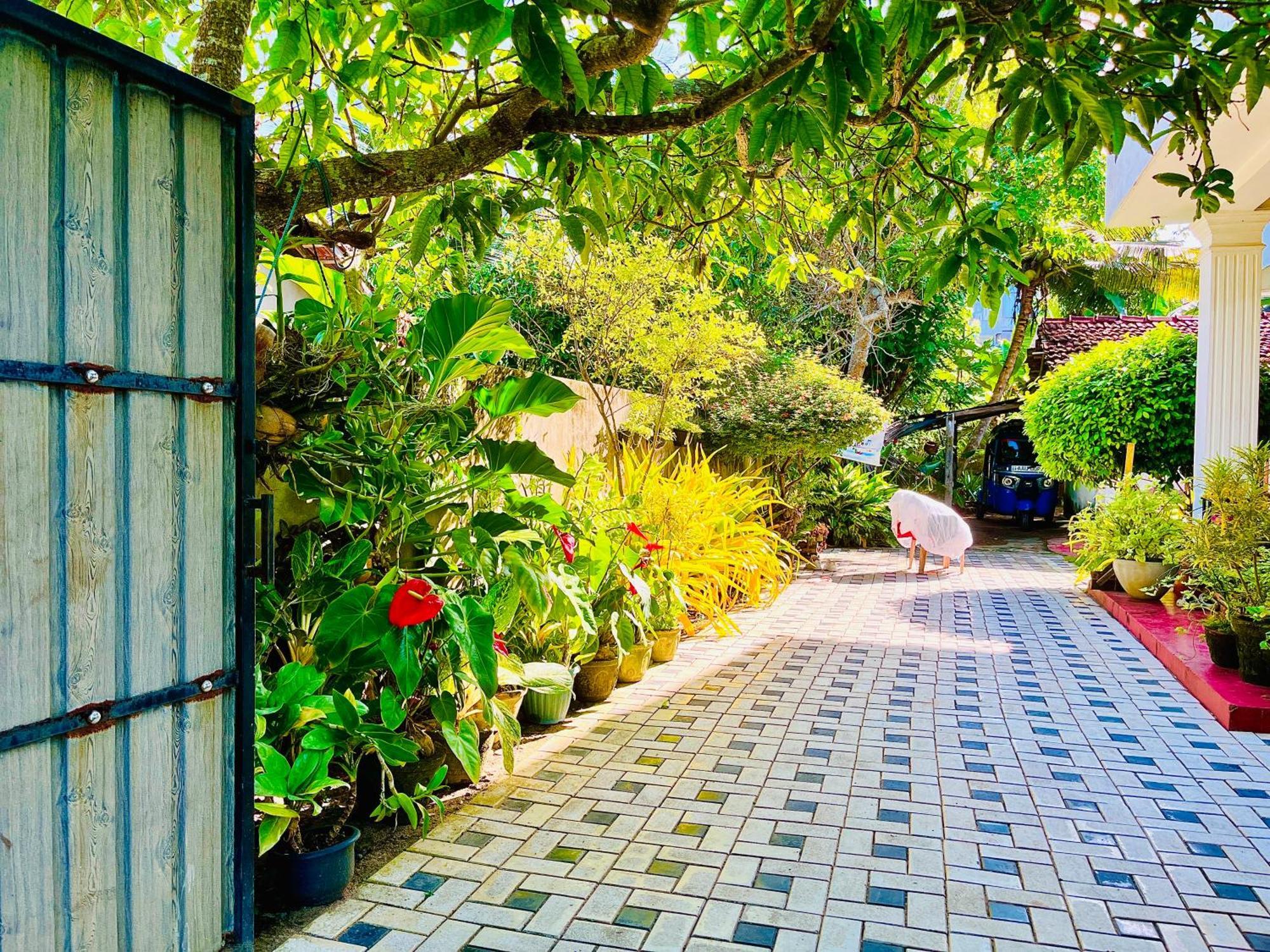 Wasana Ocean View Villa Mirissa Buitenkant foto
